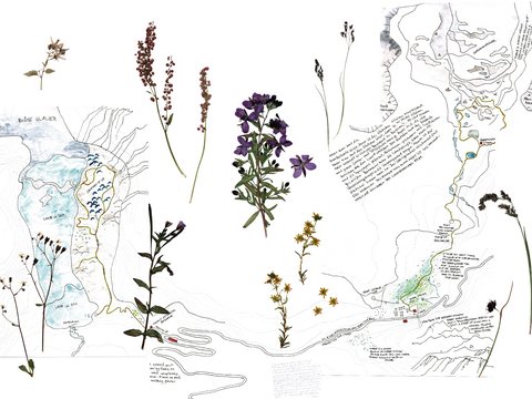 Eine grafische Collage auf weißem Grund zeigt handgezeichnete Landkarten, topografische Skizzen, handschriftliche Notizen sowie digital angeordnete gepresste Pflanzen wie Blüten und Gräser."