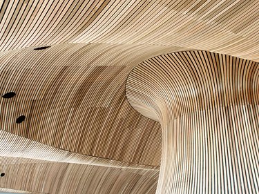 Geschwungene Holzstruktur mit parallelen Linien, die eine organische, fließende Form bilden.
