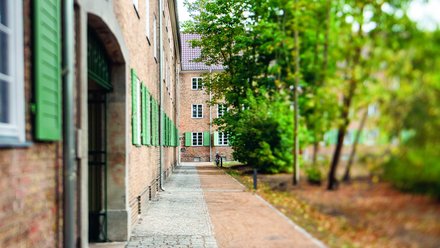 Backsteingebäude mit grünen Fensterläden entlang eines schmalen Weges, flankiert von Bäumen und Grünflächen.