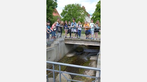 "Eine Gruppe von etwa fünfzehn Schülern steht auf einer Holzbrücke mit Metallgeländer und blickt neugierig hinunter auf einen kleinen Bach. Die Schüler sind unterschiedlich gekleidet und haben teils Rucksäcke auf. Im Hintergrund sind Bäume und ein Backsteingebäude mit einem roten Dach zu sehen."