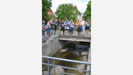 "Eine Gruppe von etwa fünfzehn Schülern steht auf einer Holzbrücke mit Metallgeländer und blickt neugierig hinunter auf einen kleinen Bach. Die Schüler sind unterschiedlich gekleidet und haben teils Rucksäcke auf. Im Hintergrund sind Bäume und ein Backsteingebäude mit einem roten Dach zu sehen."