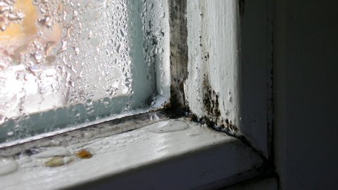Close-up eines Fensters, an dem der Fensterrahmen schimmelt