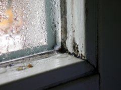 Close-up eines Fensters, an dem der Fensterrahmen schimmelt