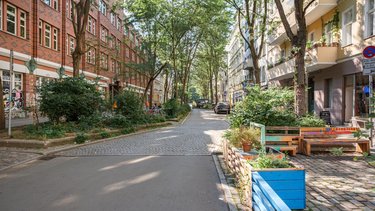 Ruhige, baumbestandene Wohnstraße mit Sitzbänken und Pflanzkästen am Straßenrand.