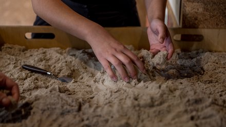 "Nahaufnahme von Händen, die feinen, hellen Sand in einer flachen Holzkiste formen. Ein kleines Werkzeug liegt daneben. Die Finger greifen und modellieren den Sand, wodurch kleine Hügel entstehen. Die Szene zeigt eine haptische, interaktive Ausstellungssituation."