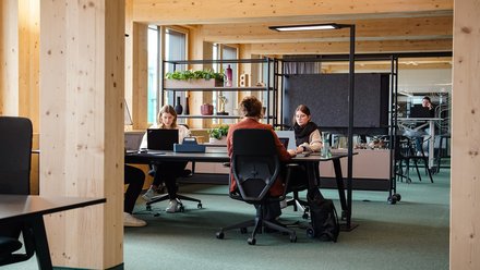 Offener Bürobereich mit sichtbaren Holzbalken: drei Personen arbeiten an Laptops an einem Gemeinschaftstisch; Tageslicht und Pflanzenregal im Hintergrund.