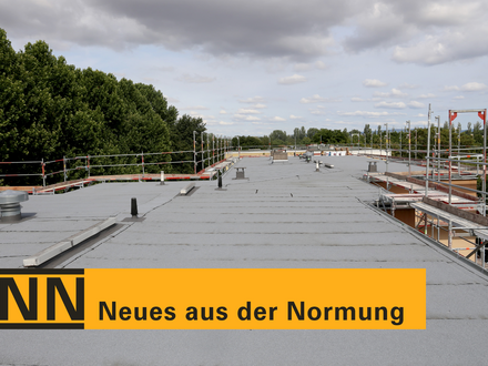 Flachdachbaustelle aus Blickrichtung Dachfläche: graue Abdichtungsbahnen, Geländer/ Gerüst am Rand, Bäume und bewölkter Himmel im Hintergrund; unten ein gelbes Banner mit schwarzer Schrift „NN — Neues aus der Normung“.