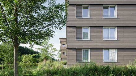 Detailansicht eines Wohngebäudes mit horizontaler Holzfassade, Fenstern und umgebender Bepflanzung.
