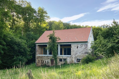 Altes, teils verfallenes Haus mit rotem Ziegeldach inmitten einer hohen Wiese und umgeben von Bäumen unter blauem Himmel