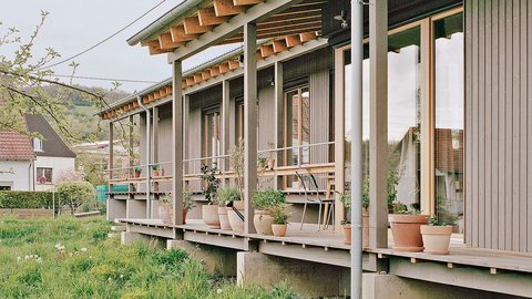 Holzhaus mit überdachter Veranda und mehreren Blumentöpfen davor auf einer Wiese mit Löwenzahn