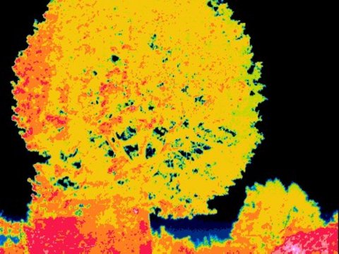 "Thermografische Wärmebildaufnahmen, die Temperaturverteilungen zeigen. Die Farbcodierung reicht von dunkelblau (kühl) über grün, gelb und orange bis zu rosa und rot (sehr heiß). Die Aufnahmen visualisieren die Wärmestrahlung unterschiedlicher Objekte oder Bereiche."