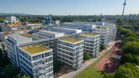 Luftaufnahme von mehreren modernen Bürogebäuden mit begrünten Dächern neben einem großen Rasenfeld und einem roten Weg, im Hintergrund eine Stadt mit einem hohen Fernsehturm