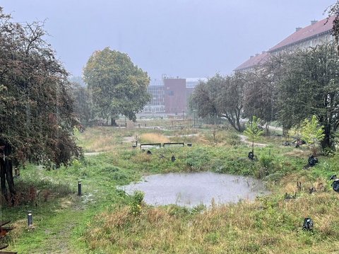 "Grüne Parkfläche mit Wiesen und Bäumen während starkem Regen. Eine abgesenkte Fläche in der Mitte sammelt Regenwasser. Menschen halten sich trotz des Regens im Park auf. Die abgesenkte Grünfläche dient als temporäres Regenspeicherbecken zur Hochwasserprävention."
