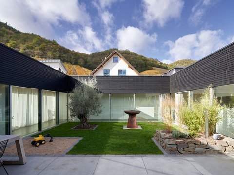 Umschlossener, verglaster Innenhof eines modernen Gebäudes mit dunkler Fassade, Rasenfläche, Olivenbaum und Blick auf dahinterliegende Weinberge.