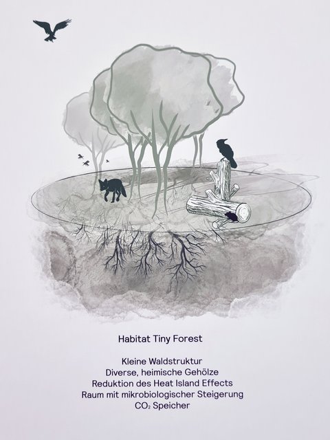 Illustration eines Tiny Forest mit Bäumen, Totholz, Vögeln und sichtbarem Wurzelwerk.