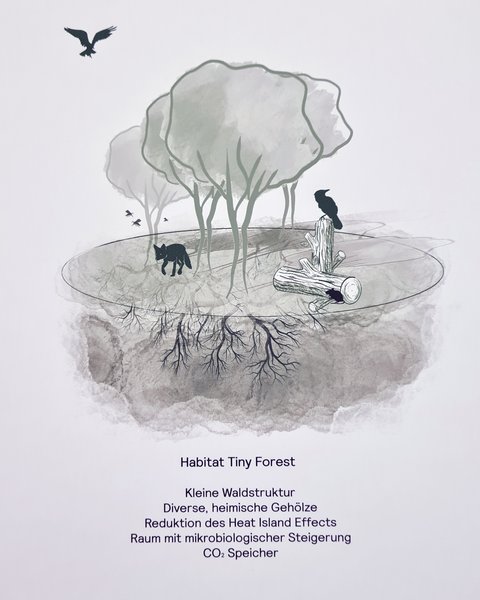 Illustration eines Tiny Forest mit Bäumen, Totholz, Vögeln und sichtbarem Wurzelwerk.