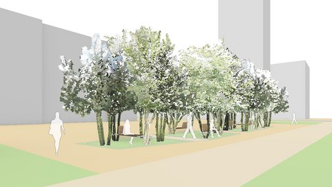 Isometrische Perspektive eines öffentlichen Platzes mit dichter Gruppe grün belaubter Bäume. Darunter bewegen sich silhouettierte Personen auf grüner Rasenfläche. Beige gepflasterte Wege rahmen die Baumgruppe ein. Moderne mehrstöckige Gebäude in grau begrenzen den Platz.