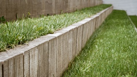Nahaufnahme begrünter Betonstufen mit Gras zwischen den Sitzreihen.