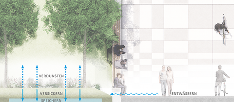 „Schematischer Querschnitt zum Schwammstadt-Konzept: Oberflächenwasser wird von der Pflasterfläche in begrünte Versickerungs- und Speicherzonen unter Bäumen geleitet.“