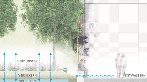 „Schematischer Querschnitt zum Schwammstadt-Konzept: Oberflächenwasser wird von der Pflasterfläche in begrünte Versickerungs- und Speicherzonen unter Bäumen geleitet.“