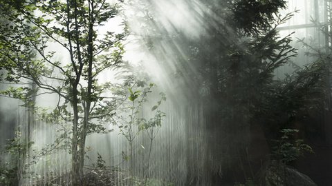 „Helle Sonnenstrahlen durchdringen dichten Nebel und beleuchten grüne Bäume in einem waldähnlichen Innenraum.“
