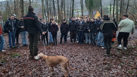 Große Gruppe in herbstlichem Wald; Forstmitarbeiter mit Hund erklärt etwas; nasser Laubboden, Häuser und Hügel im Hintergrund.