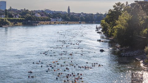 Hunderte Menschen schwimmen an einem sonnigen Tag in einem breiten Fluss. Die Aufnahme zeigt die Szene von oben, mit bewaldetem Ufer und Stadtkulisse im Hintergrund.
