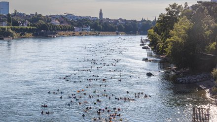 Hunderte Menschen schwimmen an einem sonnigen Tag in einem breiten Fluss. Die Aufnahme zeigt die Szene von oben, mit bewaldetem Ufer und Stadtkulisse im Hintergrund.