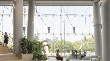 Großzügiger Aufenthaltsbereich mit Sitzstufen, Pflanzen und Tageslicht.