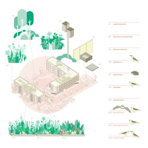Infografik zu einem Wohngebäude mit Maßnahmen zur Förderung der Biodiversität, wie Nistkästen, Bepflanzungen und Lebensräumen für Tiere.