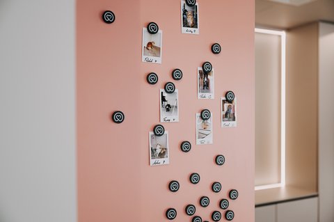„Eine lachsfarbene Fotowand, an der mehrere Polaroid-Bilder von behandelten Hunden und Katzen mit schwarzen Herz-Logo-Magneten befestigt sind.“