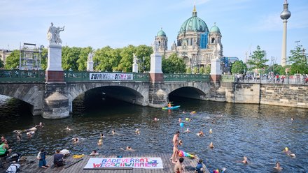 Zahlreiche Menschen schwimmen in einem Fluss unter einer Brücke in einer Großstadt. Im Hintergrund sind ein historischer Dom und ein Fernsehturm zu sehen, während Menschen das Geschehen vom Ufer aus beobachten.
