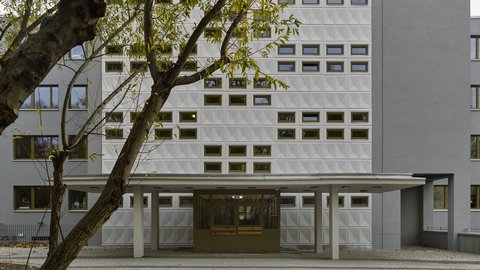 Fassade eines modernen Schulgebäudes mit rechteckigen Fenstern und einem überdachten Eingangsbereich, davor ein Baum mit grünen Blättern