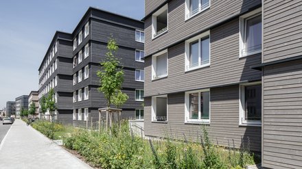 Reihe mehrgeschossiger Wohngebäude mit Holzfassade entlang eines begrünten Gehwegs.