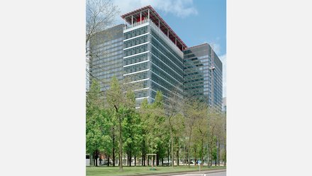 Ein Grünstreifen mit einer Baumreihe, dahinter ein modernes Hochhaus mit Glasfassade