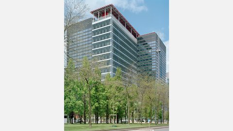 Ein Grünstreifen mit einer Baumreihe, dahinter ein modernes Hochhaus mit Glasfassade