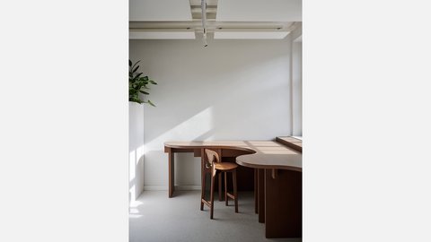 Heller Arbeitsbereich mit geschwungenem Holztisch, hohem Holzstuhl und großer Zimmerpflanze vor einer schlichten weißen Wand.
