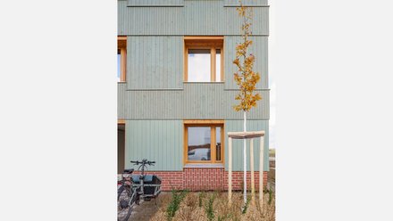 Grün lasierte Holzfassade mit Klinkelsockel und Holzfenstern; davor ein gestützter Jungbaum und ein Lastenrad. Lang Ausschnitt einer dreigeschossigen Wohnhausfassade aus senkrechten, mintgrün lasierten Holzleisten mit rotem Klinkersockel. Holzrahmenfenster, davor ein neu gepflanzter, abgestützter Baum; links steht ein Lastenrad.