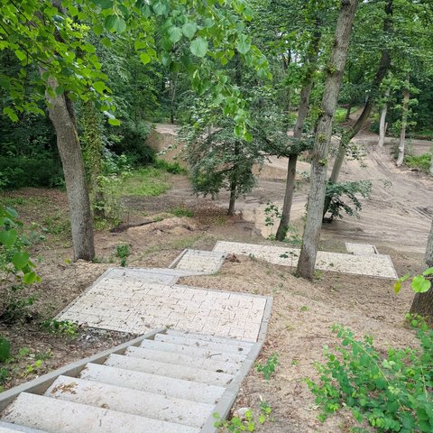Neu angelegte Treppen und Wege führen durch einen bewaldeten Bereich des Stadtparks.
