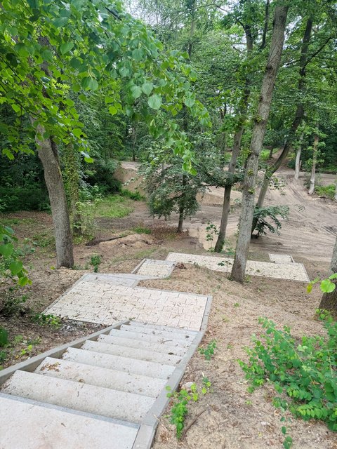 Neu angelegte Treppen und Wege führen durch einen bewaldeten Bereich des Stadtparks.