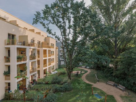 Wohnanlage am grünen Innenhof: Versetzte Loggien mit gelben Geländern, ein großer alter Baum prägt die Mitte; geschwungener Weg, Sitzbänke und gepflegte Beete, einzelne Personen nutzen den Garten.