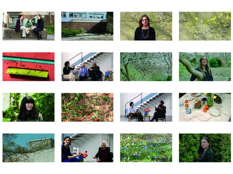 Eine Collage aus 16 Fotos, die verschiedene Porträts von Personen, Architektur, Natur, Insekten und Gesprächssituationen in gedeckten Farben zeigen.