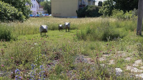 Naturnahe Blühwiese mit Sitz- und Spielelementen zwischen Wohngebäuden.