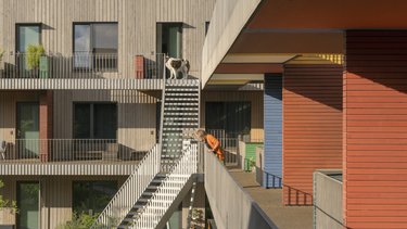 Junge Person und Hund auf einem Balkon einer Wohnanlage mit Treppe und Garten.