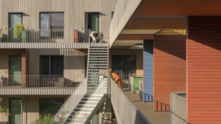 Junge Person und Hund auf einem Balkon einer Wohnanlage mit Treppe und Garten.