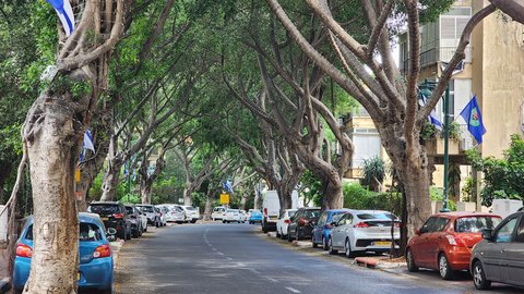 Herzl Street in Tel Aviv mit durchgehender Verschattung durch Baumkronen