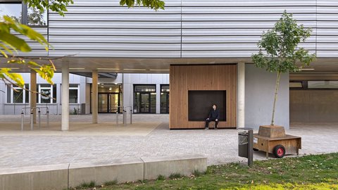 Person sitzt in einer holzverkleideten Nische an der Außenwand eines modernen Schul- oder Universitätsgebäudes, im Vordergrund ein Baum auf einem hölzernen Wagen.