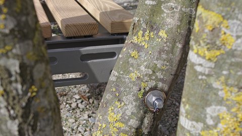 Detailaufnahme eines Baumes mit grauer moosbedeckter Rinde und gelblichen Flechten. Ein korrodierter Bolzen durchzieht den Stamm als Teil einer Schutzvorrichtung. Dahinter verschwommenes Holzlatten-Konstruktionsgerüst. Der Stamm zeigt natürliche Altersmerkmale und organische Beläge.