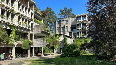 Moderner Wohnkomplex mit drei mehrstöckigen Gebäuden aus Beton und Glas,  begrünt mit Efeu und Rankpflanzen. Im Innenhof Fahrräder, Bänke und  grüne Wiese unter blauem Himmel.