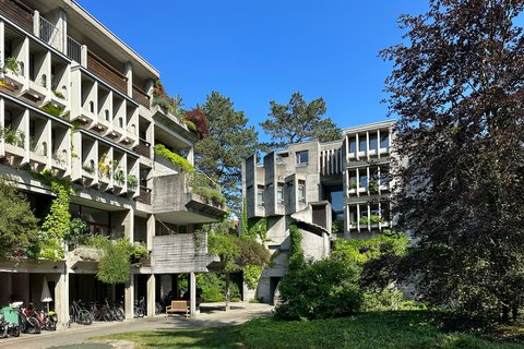 Moderner Wohnkomplex mit drei mehrstöckigen Gebäuden aus Beton und Glas,  begrünt mit Efeu und Rankpflanzen. Im Innenhof Fahrräder, Bänke und  grüne Wiese unter blauem Himmel.